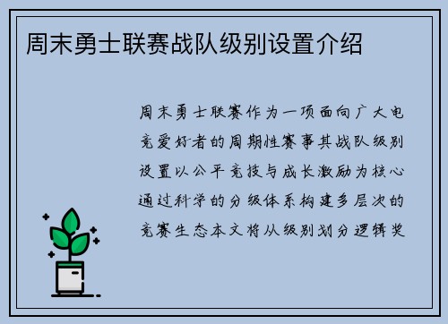 周末勇士联赛战队级别设置介绍